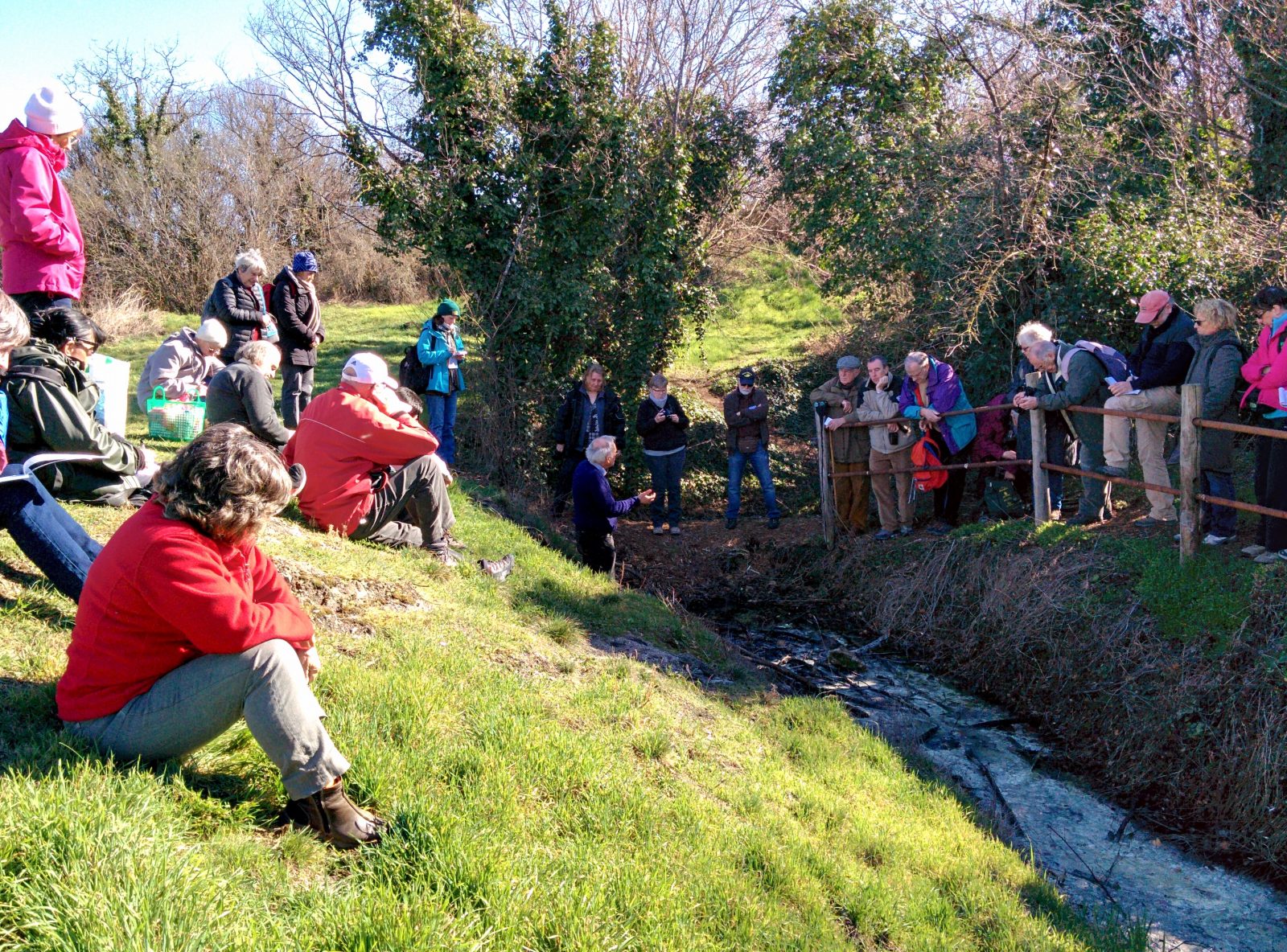 Conférence : Sancy sauvage, biodiversité et volcanisme