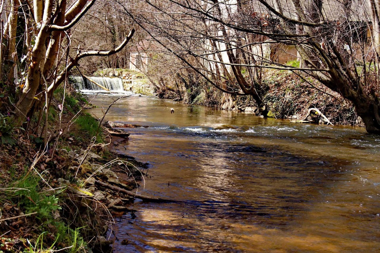 Nettoyage des bords de Morge (ENS Val de Morge)